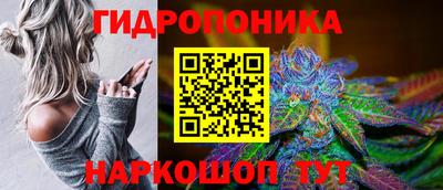 СК Коммунар